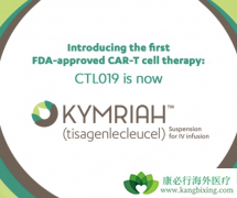 ����ϸ����������ļ��ĳ�̨�������Ҷ���CAR-Tϸ�����Ʒ�չ������