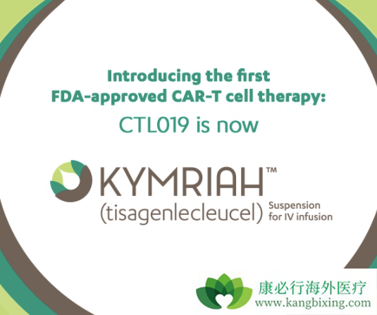 细胞治疗 细胞治疗