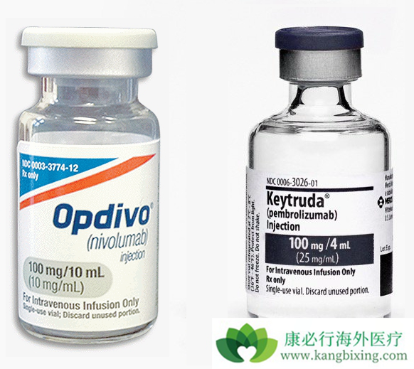 PD-1联合疗法 PD-1联合疗法