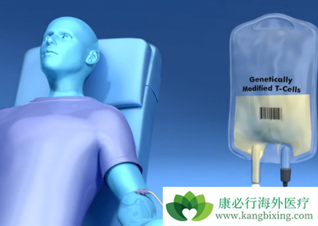 CAR-T细胞疗法 CAR-T细胞疗法