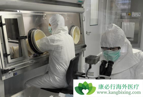 CAR-T疗法 CAR-T疗法