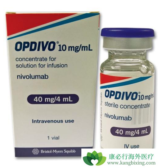 PD-1抑制剂联合疗法 PD-1抑制剂联合疗法