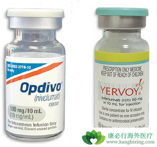 PD-1抑制剂 PD-1抑制剂