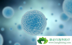 ����ΰ����߸��ʺϺ���ҽ�Ƶ�ϸ�������Ʒ���