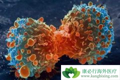 ����ҽ�Ƹ�������δ����ڲ����Ǳ���Ǳ����