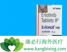 �о����ֵ��������ߴ����޿�(ERLOTINIB)�л�������
