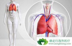 ��������(AFATINIB)��ŷ�޷�Сϸ���ΰ������г��ݶ��һ������