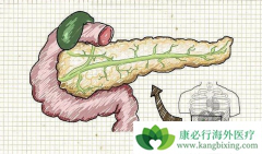 ͨ�����ٰ������ƺ��ߵ��������ж೤