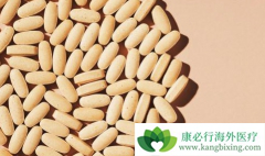 ӡ������ɳ�����ܵ����ǻ�ӭ����Щԭ��