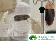 ���ڴ��ȵ�CAR-Tϸ�������Ʒ���ȱ������Щ��