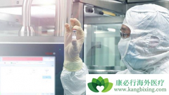 CAR-Tϸ���Ʒ�������ϸ�����ӷ籩��ʲô��ϸ�����ӷ籩������