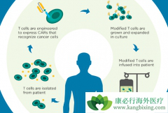 ǿ����˾���ڸ���һ�������Թ���������CAR-T����ҩ������ʹ��