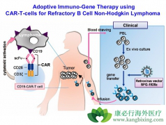 ����ҽ��ΪʲôԸ��ΪCAR-Tϸ���Ʒ����ѣ�