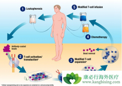 CD19���������֪��CAR-T�������Ƶİе�֮һ