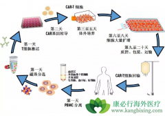 ��CD19Ϊ�е��CAR-Tϸ���Ʒ����׸����FDA��׼����ҵ����