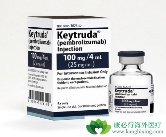 CTLA-4
