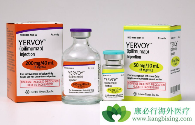 CTLA-4Ƽ