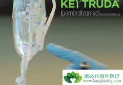 PD-1���Ƽ�Keytruda���������������Щ��֢��