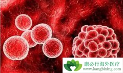 ����������ǰ�������ε�����ʳ