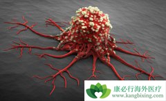 ��ҽ���������Ƶĸ�����������ý���