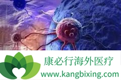 ǳ���������ƹ����е��������