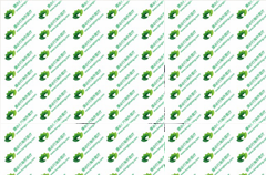 PD-1���Ƽ�����Keytruda����������������������