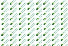 ����ɳ(Iressa)����Xap���������������ֲ������Ч