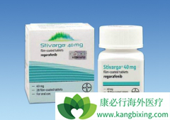 ����ҩ������(STIVARGA)�ķ��÷����ǳ�����ͣһ��