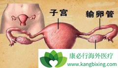 ��ά͡(Avastin)Ϊ�ѳ��������ƴ������·���