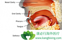 �����ᵥ��(Panitumumab)��CRT�����ܷ�����ͷ�����۰�����Ч��