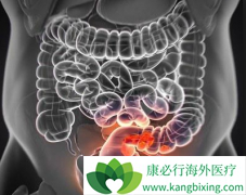 ������ע���ᵥ��(Panitumumab)ʱ�᳦�����߻������Щ������Ӧ