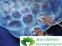 ��������(AFATINIB)��ͨ��Ƥ���ͷΰ����ղ����˺�̥���ķ���