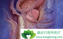 ��������(XBIRA)�Ͷ�����������������������mCRPC���нϺõİ�ȫ��