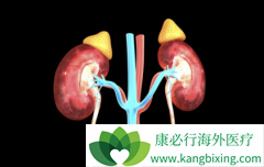 ��������(Sunitinib)�Ͱ��������ĸ�����ת����������Ч��