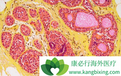 ��������(Suninat)�ڹ�������ά�������о��г־õĿ���������