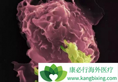 ����FDA�����黼�߳���������ʹ��PD-1������������