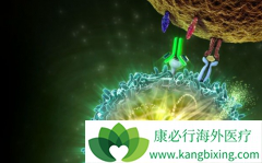 PD-1���Ƽ�Keytruda�������ǶȰ����ƶ෢�Թ����������ò�����