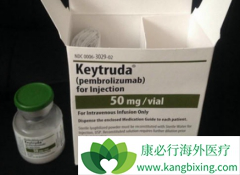 PD-1ҩ�｡Ȭ��(Keytruda)/��ķ�����ڹ�����������
