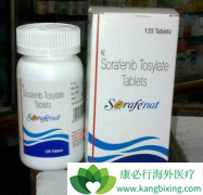 �ΰ����߿��԰�4���༪��(SORAFENAT)�ֳ�2�η�����