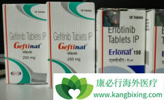 ��ȫ�г���NSCLC����ʹ�ü�������(GEFINAT)�������������ֲ�����