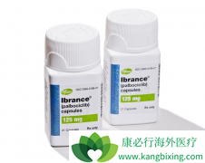 ��������ȫ���׸�CDK4/6ѡ�������Ƽ������£��߰��������ڹ�������