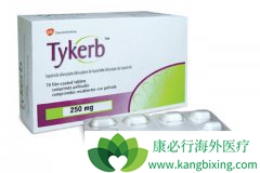 ��������(LAPATINIB)�����������ٰ���ת�ƻ�����