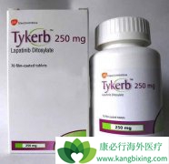 ��������(LAPATINIB)�����͡�����ٰ�������������ͬ��