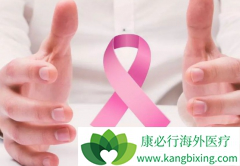 ���ٰ�ҩ����������(PALBOCICLIB)�ڹ�����������