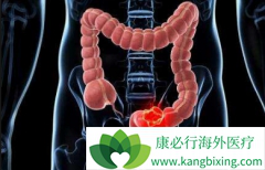 �̿����Ƶ�ӡ��ҩ������(STIVARGA)���Լ۱���ߵ�