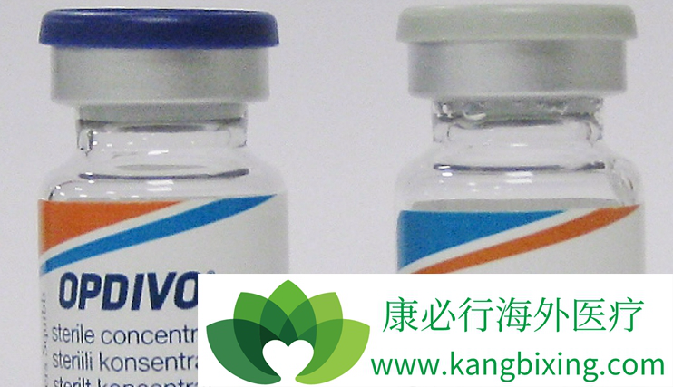 PD-1抑制剂 PD-1抑制剂