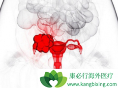 ��������(PAZOPANIB)ά�������ѳ����Ƴ��˽�һ�����Ƶ���Ҫ