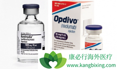 ����ж��ĸ�����ʹ��PD-1���Ƽ����ƺ��в�������Ч��