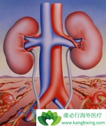 �����������ת�����������߸�ƫ����������(Votrient)����