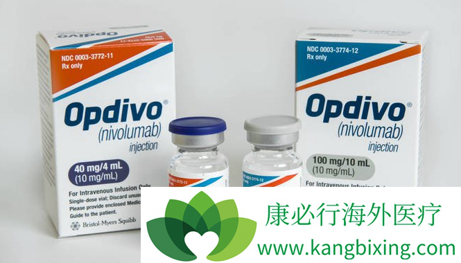 PD-1免疫药物 PD-1免疫药物